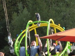 img_6491
